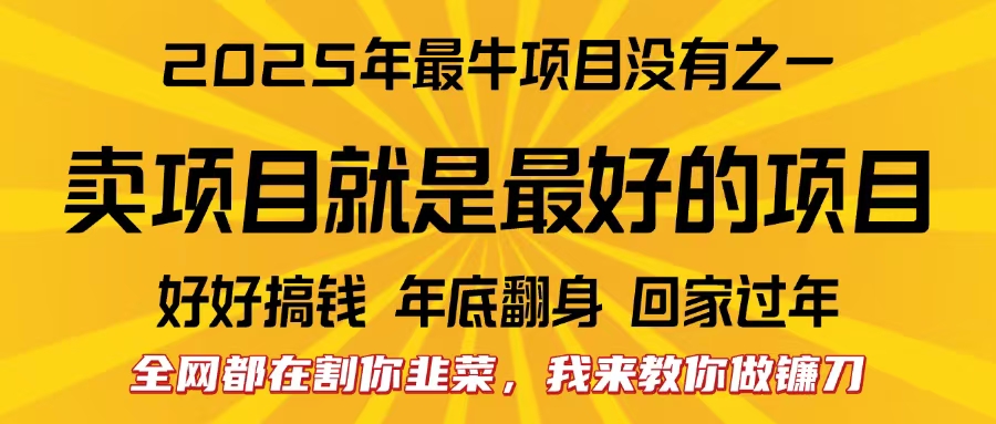 全网都在割你韭菜，我来教你做镰刀。卖项目就是最好的项目，2025年最牛互联网项目-智领未来创业网
