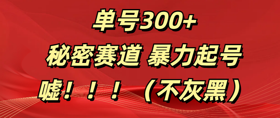 单号300+  秘密赛道 暴力起号  （不灰黑）-智领未来创业网