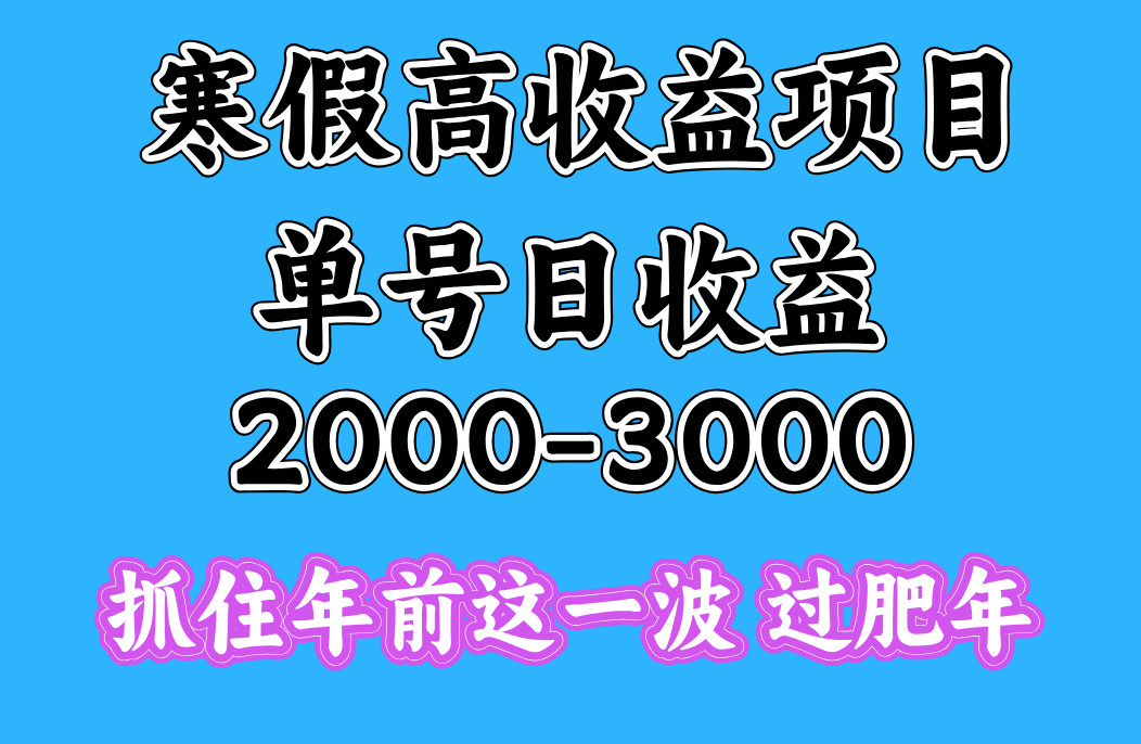 寒假期间一天收益2000-3000+，抓住年前这一波-智领未来创业网