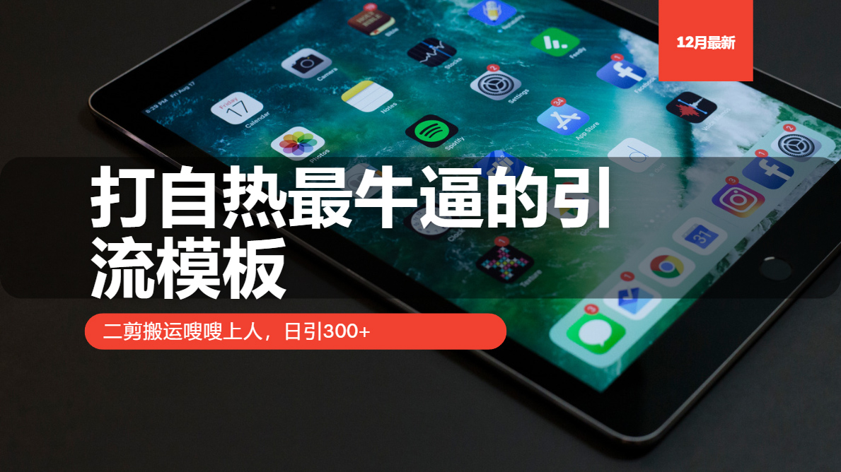 打自热最牛逼的引流模板，日引300+，二剪搬运嗖嗖上人-智领未来创业网