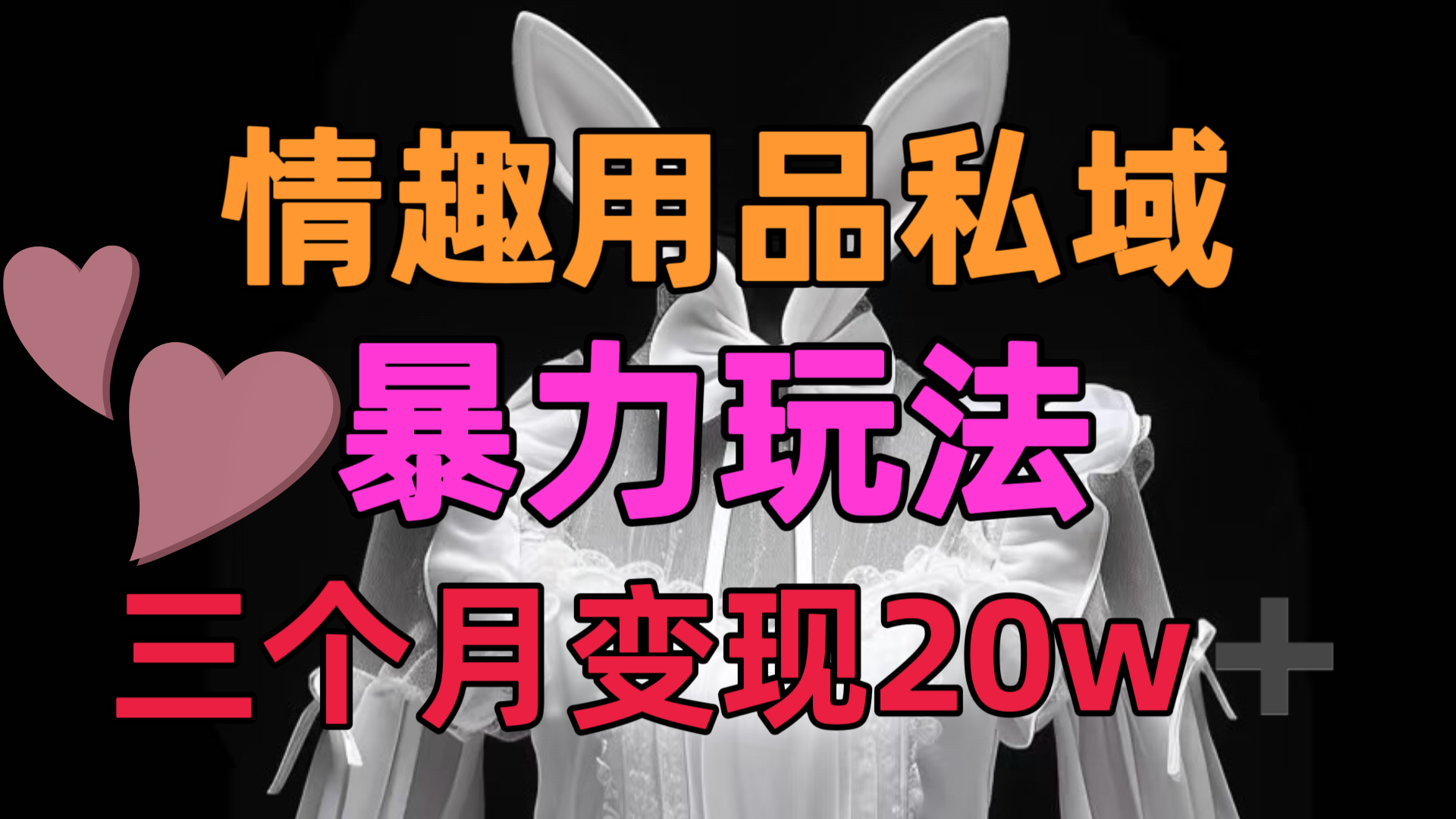情趣用品私域，25年最新暴力玩法，三个月变现20w➕-智领未来创业网