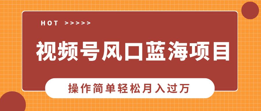 视频号风口蓝海项目，中老年人的流量密码，操作简单轻松月入过万-智领未来创业网
