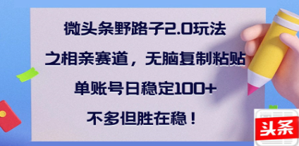全网首发微头条野路子2.0玩法之相亲赛道，无脑搬砖复制粘贴，单账号日稳定300+保姆级教程-智领未来创业网