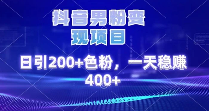 2025最新男粉项目 日引200 轻松月入2w+-智领未来创业网