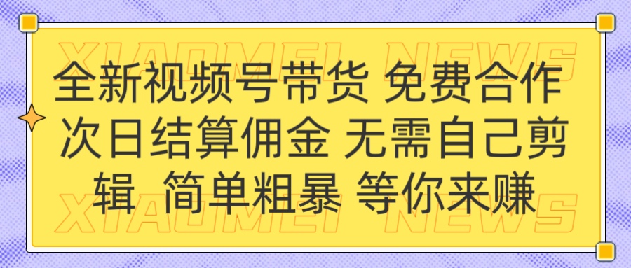 全新视频号 免费合作 佣金次日结算 无需自己剪辑-智领未来创业网