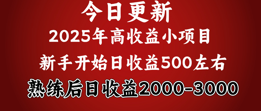 2025开年好项目，新手日收益500+ 熟练掌握后，日收益平均2000多-智领未来创业网