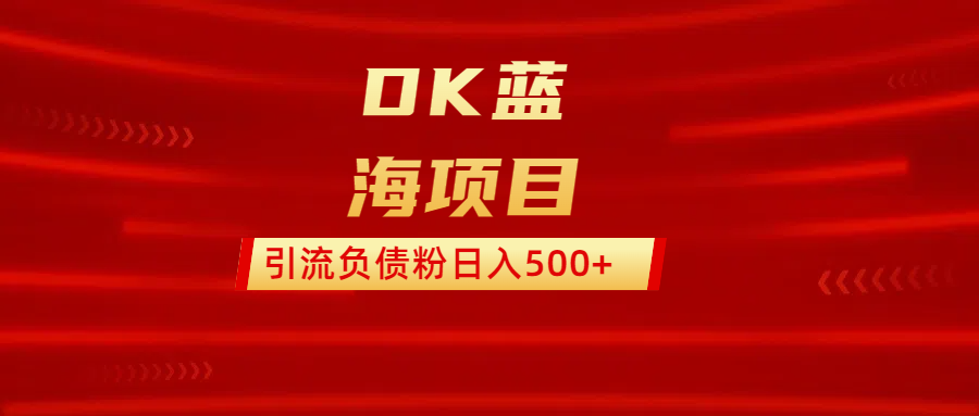 DK蓝海项目  通过，抖音，快手，小红书，引流负债粉日入500+-智领未来创业网